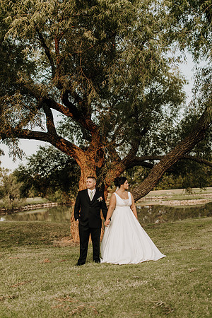 Shane + Avisa