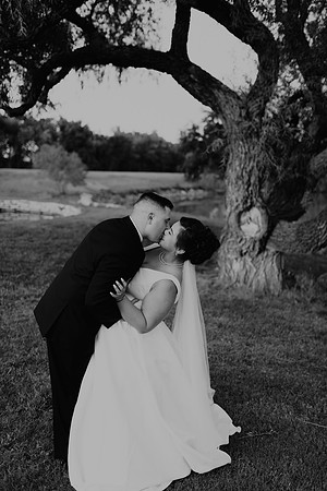 Shane + Avisa