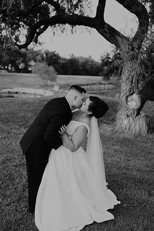 Shane + Avisa