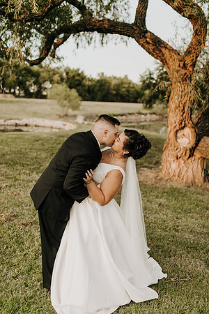 Shane + Avisa